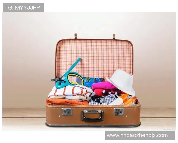 探索箱包设计的未来趋势与创新技术,打造个性化与智能化旅行体验